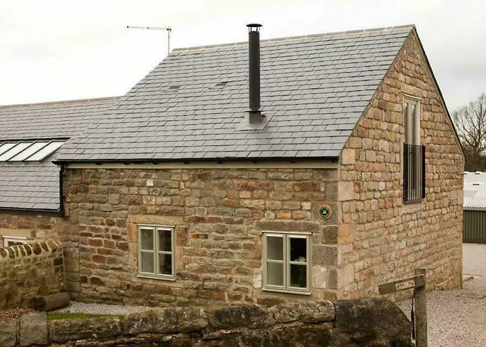 בית נופש Squeak